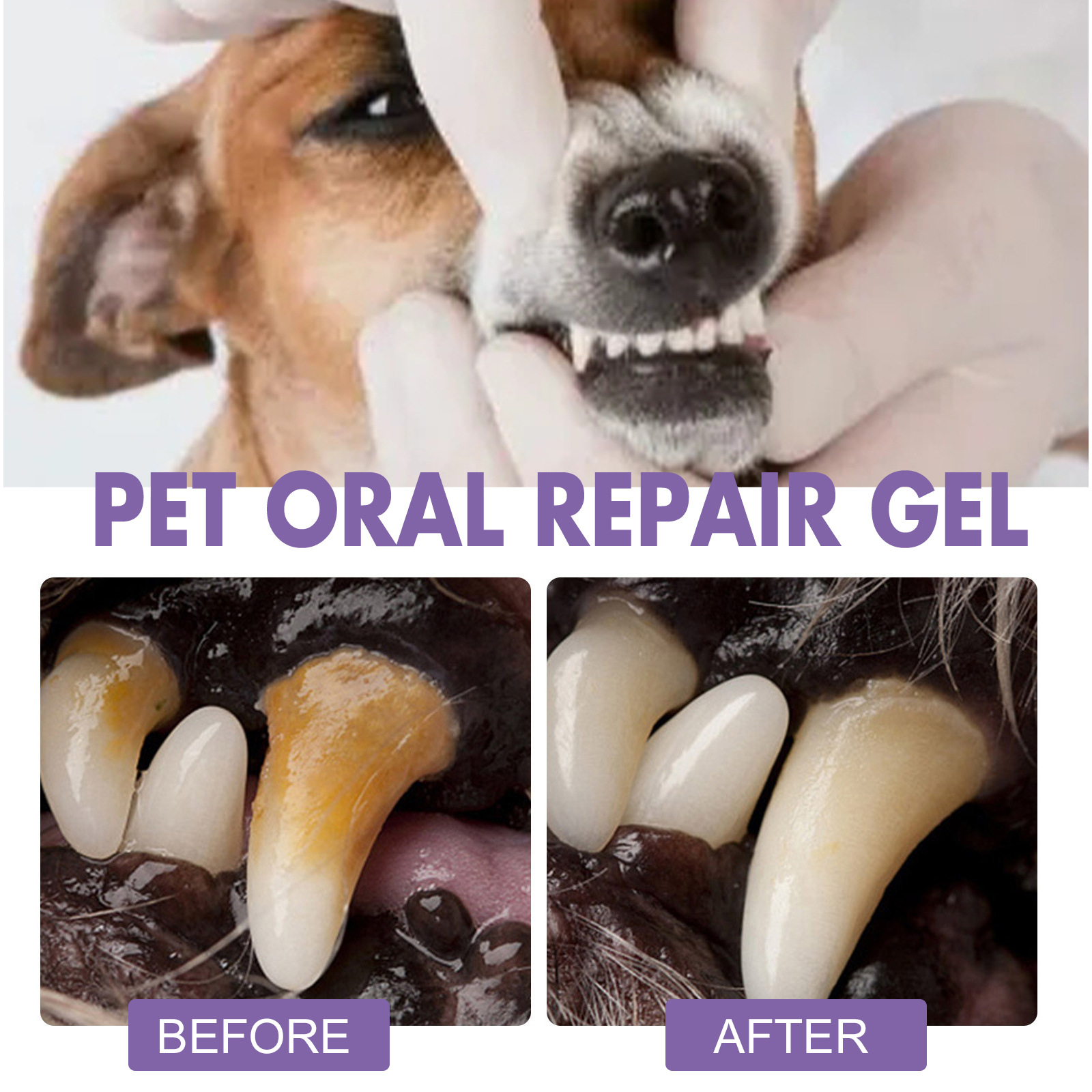 Pet Oral Onarım Jeli Yavru Tar - Teeth Whitening Ulta incelemesi ve fiyatı
